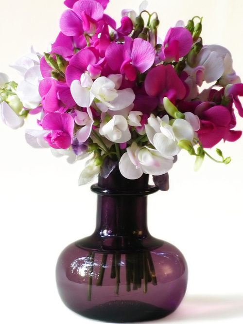 sweetpeas.jpg