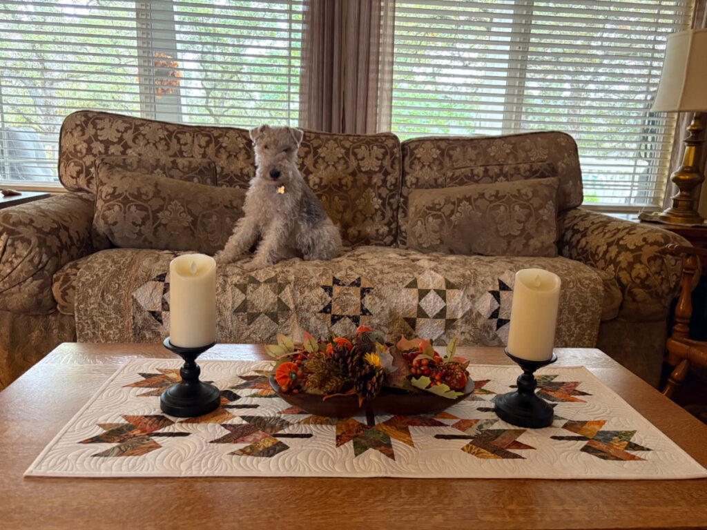 Archie on the sofa with coffee table in foreground